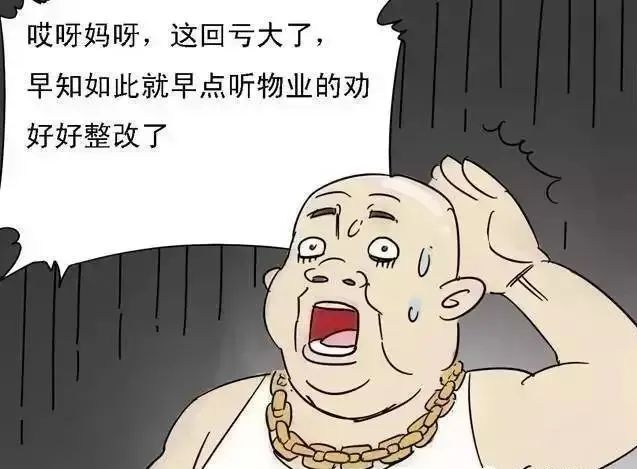 5.jpg 5.jpg
